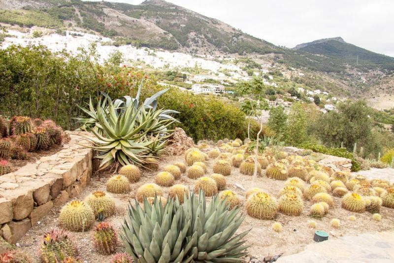 Jardín de cactus, Lanzarote