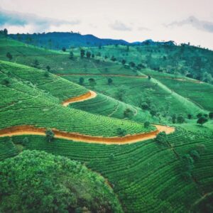 Sri Lanka Beauty