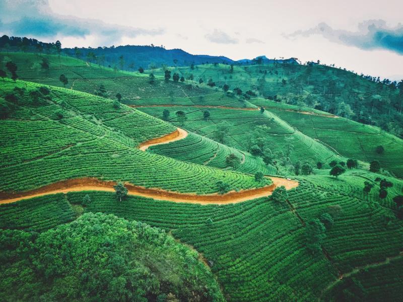 Sri Lanka Beauty