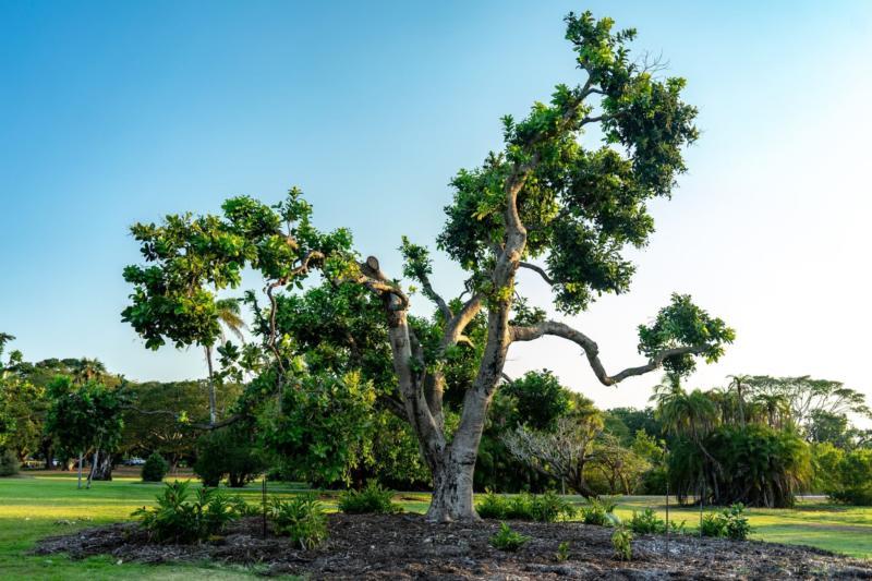 Darwin, Australia