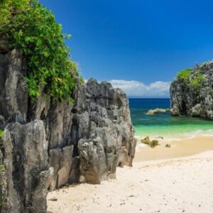 Survivor Caramoan
