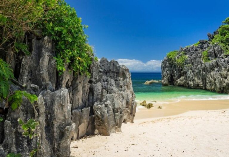 Survivor Caramoan