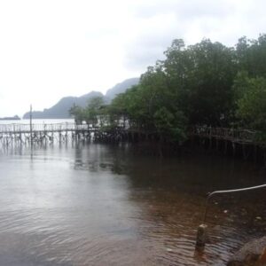 Maquinit Hot Spring in Coron island