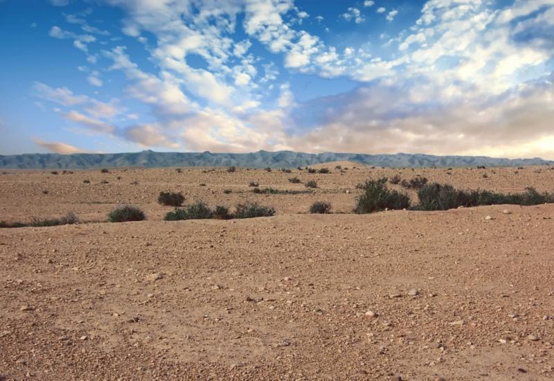 Algerian Desert