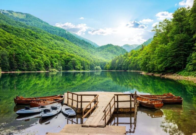 Biogradska gora