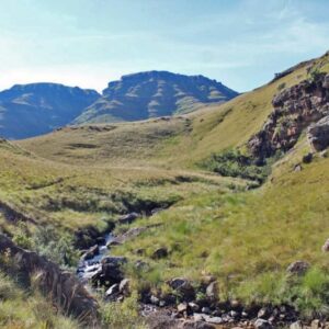 A trail at Cobham Nature Reserve, Southern Drakensberg