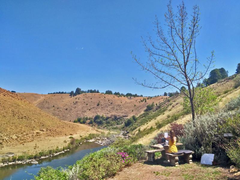 Sketching the view at Birches Cottage, Underberg