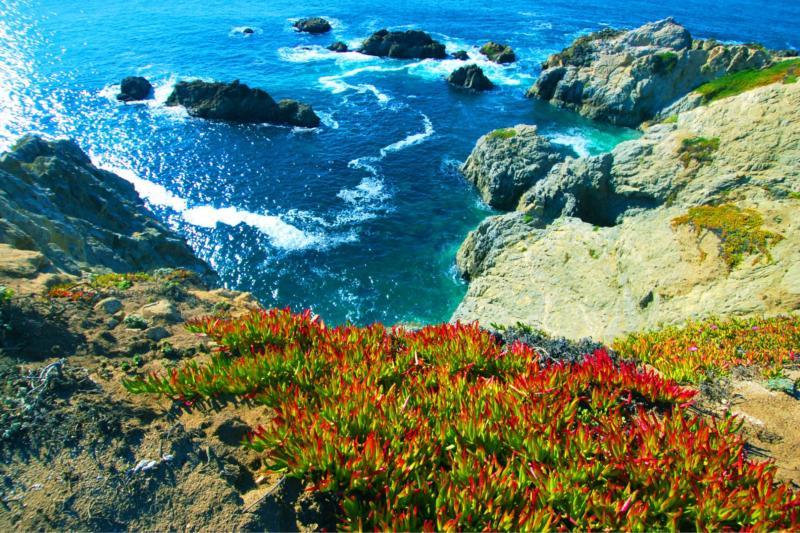 Bodega Bay, California
