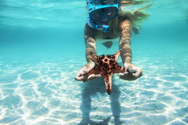 Dive and snorkel at the beach