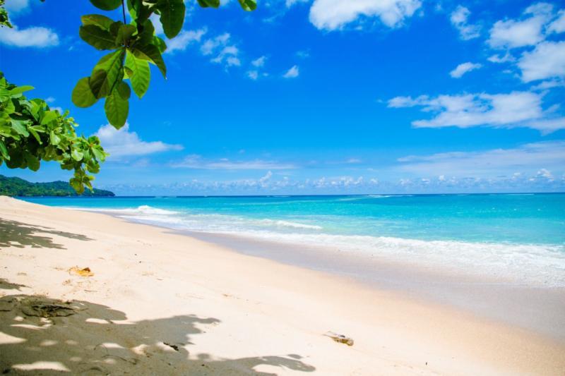 Natural Beauty Beach