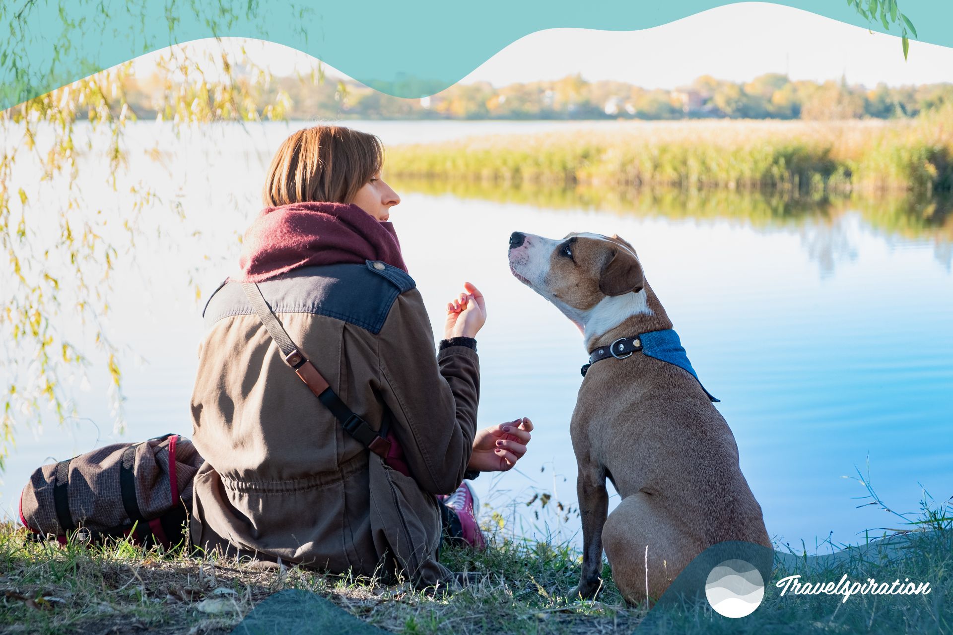 Dog vacation, outdoors