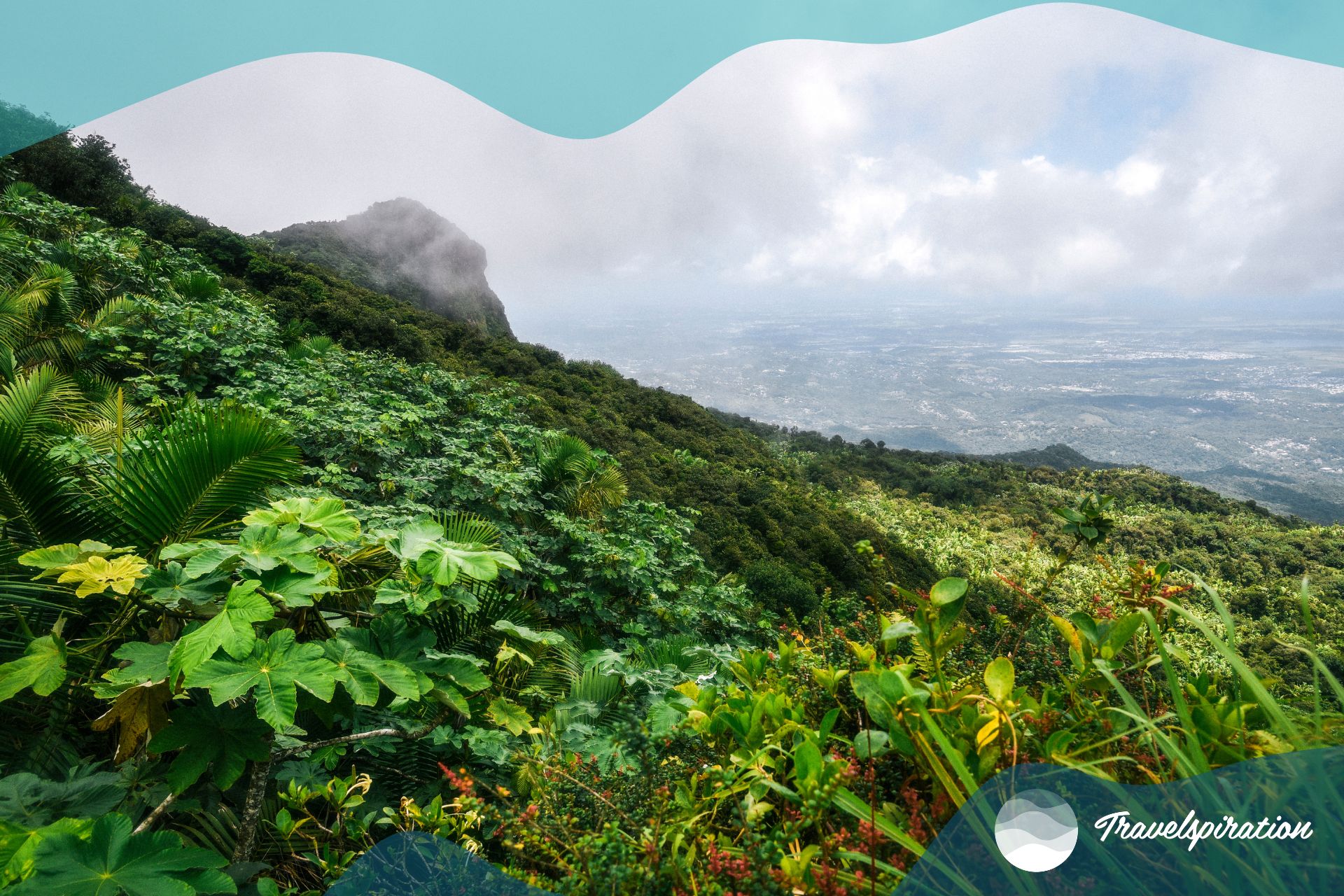 El Yunque National Forest