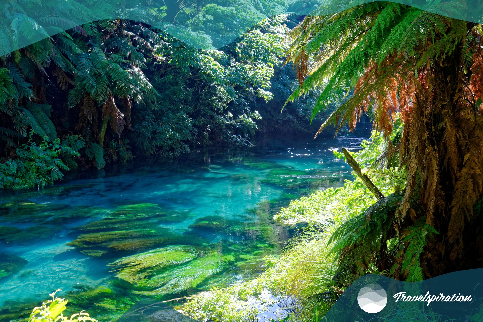 New Zealand in August
