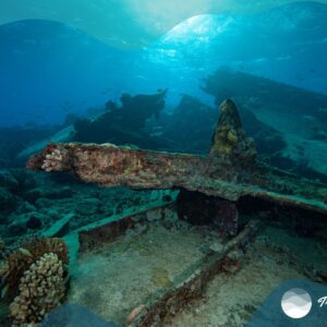 Sunken Ship, Boniare
