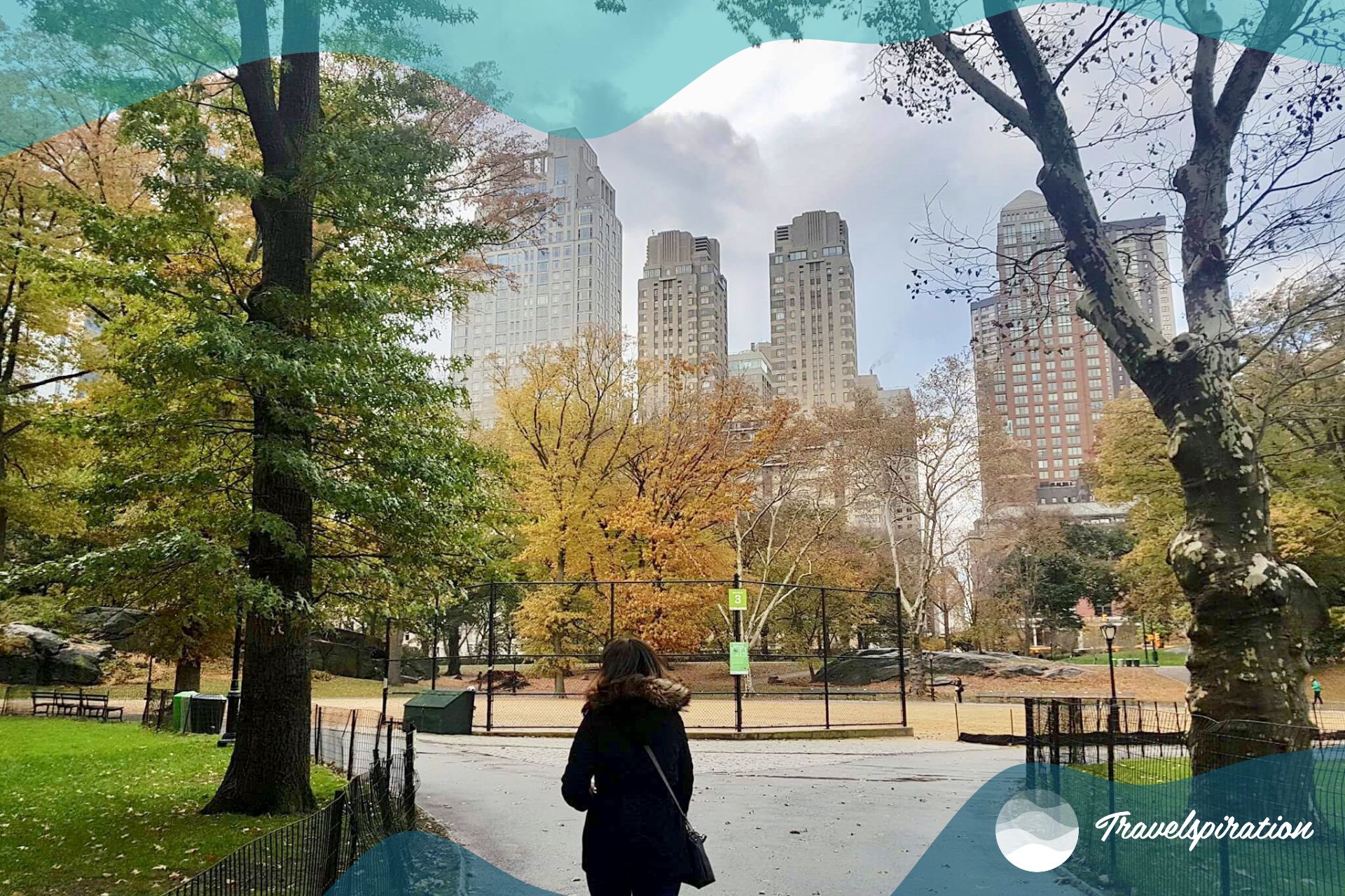 What to See and Do in Central Park