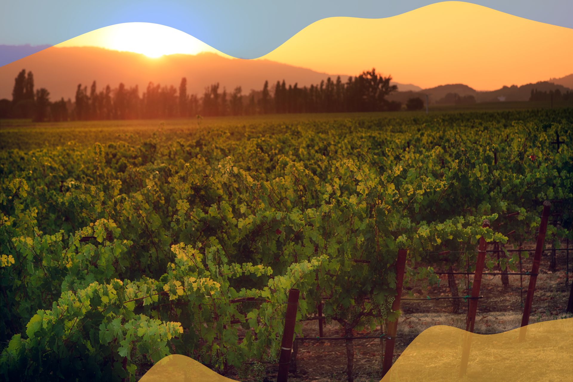 California's Napa Valley