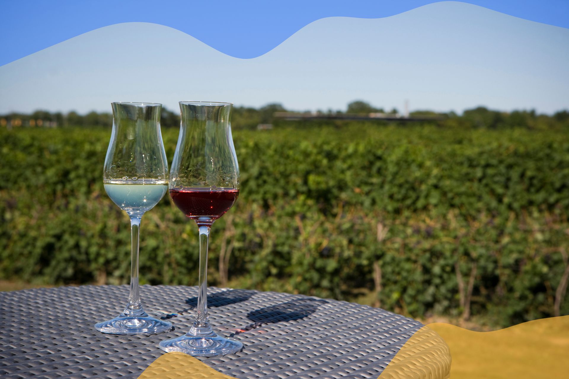 Virginia Wine Country