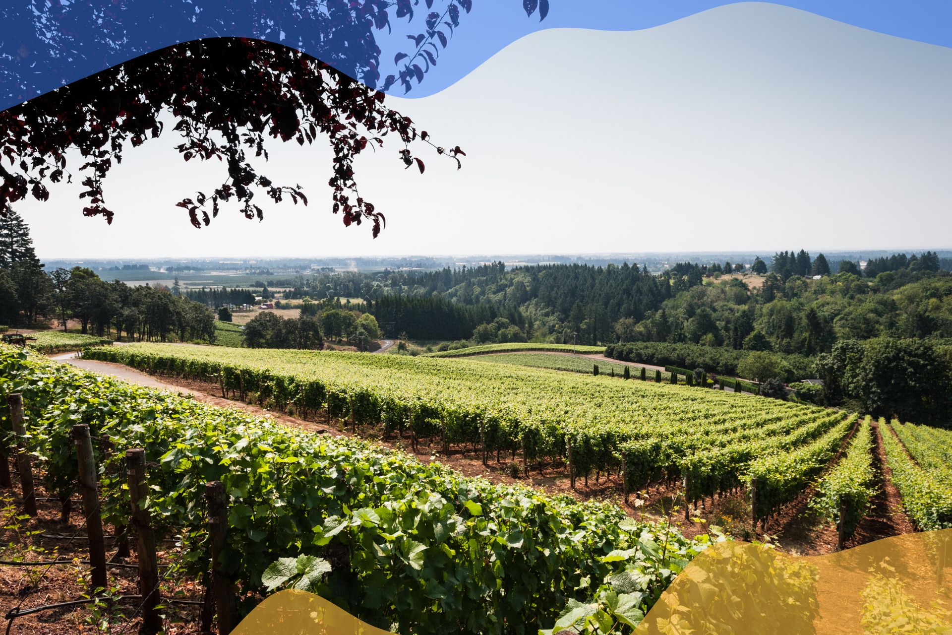 Willamette Valley, Oregon