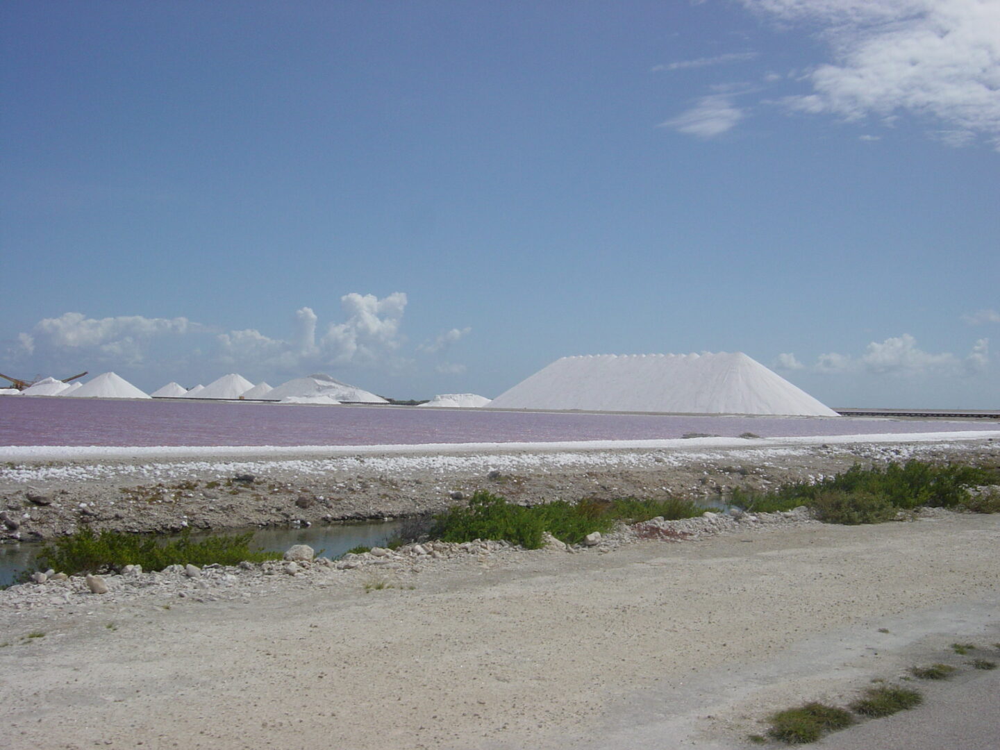Pink Salt Bonaire