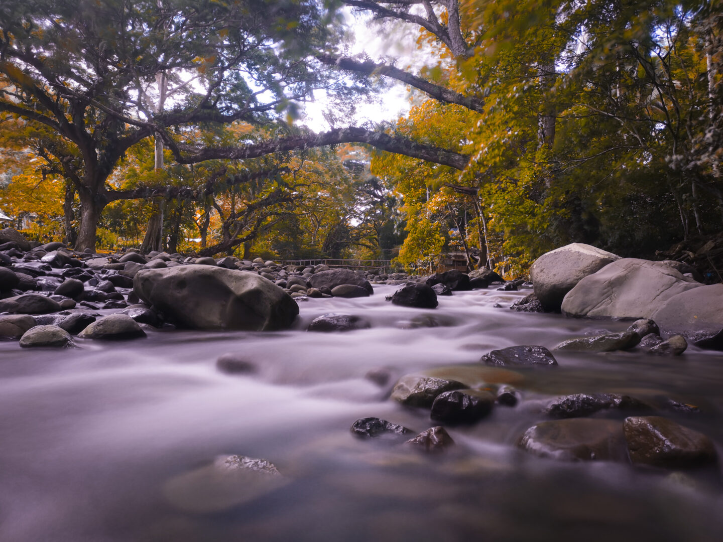 Pasonanca Natural Park